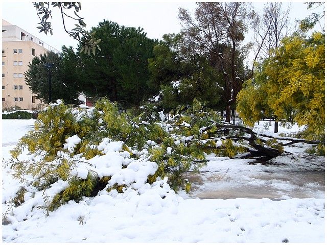 Neige 011-copie-1