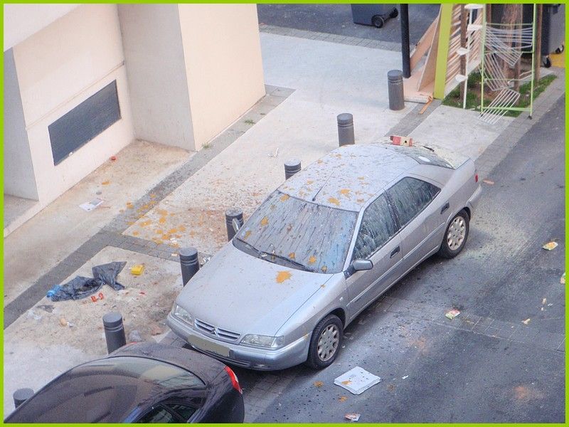 poubelle sur voiture 003