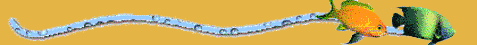 poisson3.gif