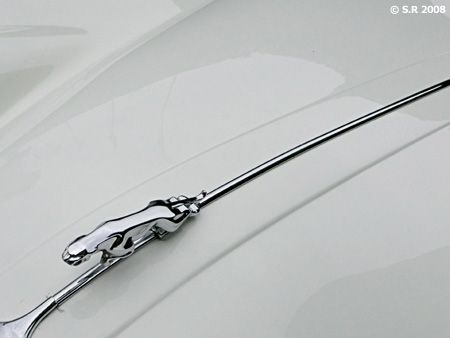 Capot d'une jaguar
