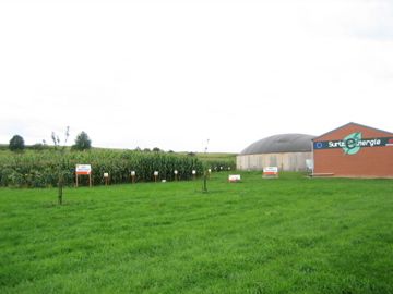 IMG-0955.jpg