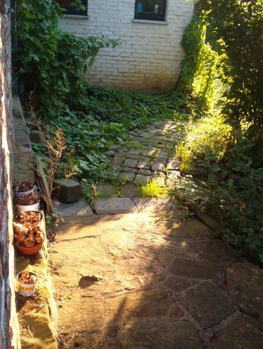 JardinJu-001.jpg