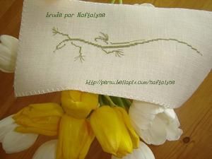 L--zard11686553-m.jpg