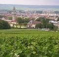 images-2-copie-2.jpg