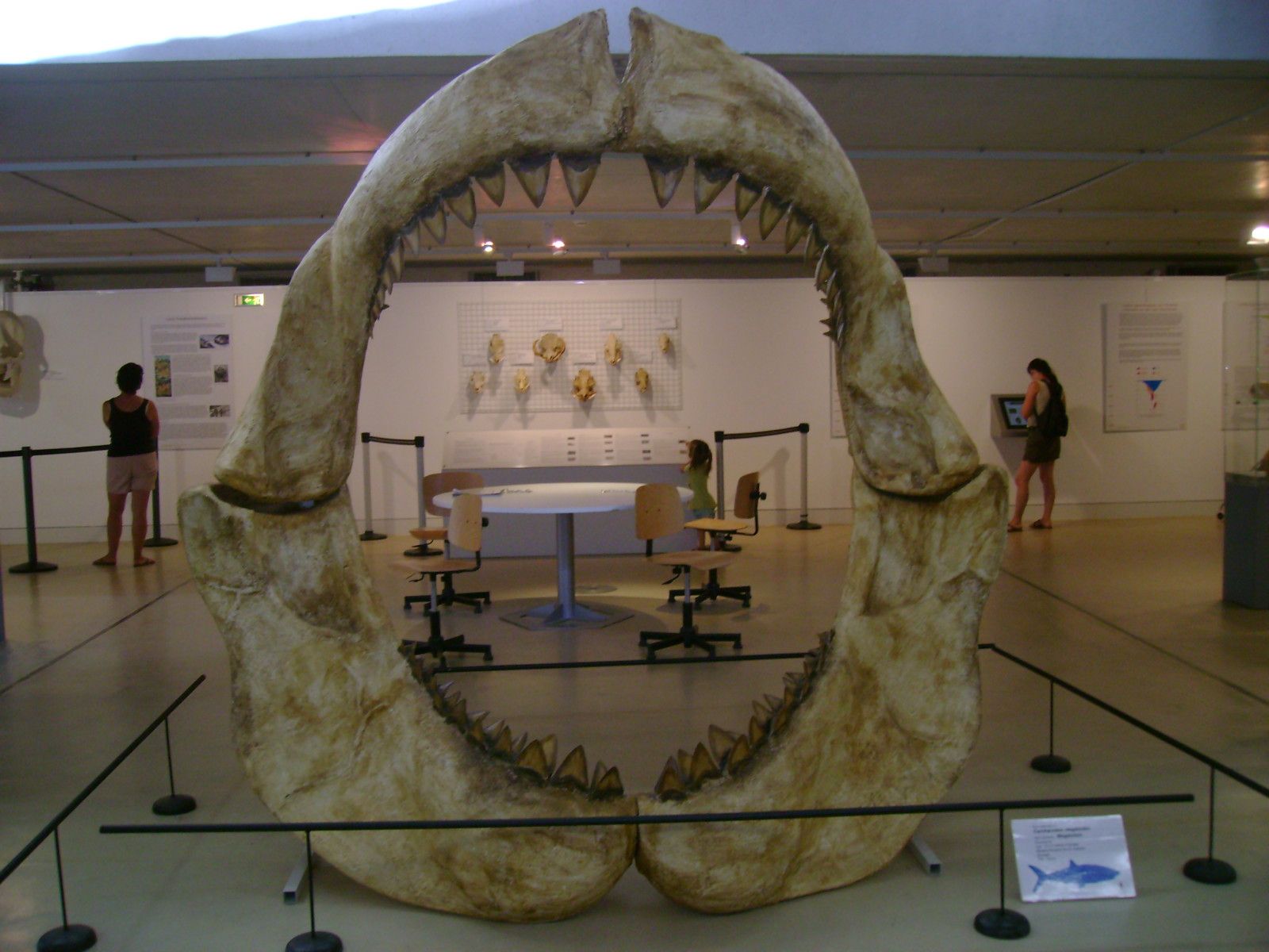 musée de quinson