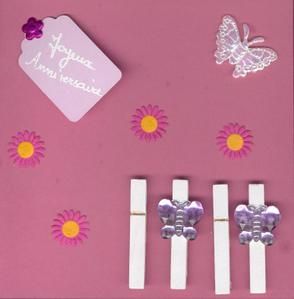 carte-anni-rose-papillons.jpg