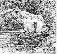 crapocheval1.jpg