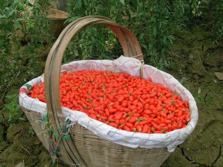 goji-himalaya.jpg