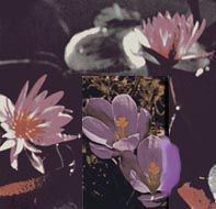 pou-blog-tagu--fleurs2--copie.jpg