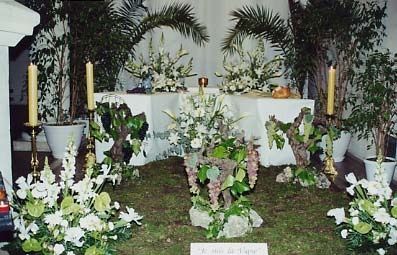 rameaux_03-copie-1.jpg