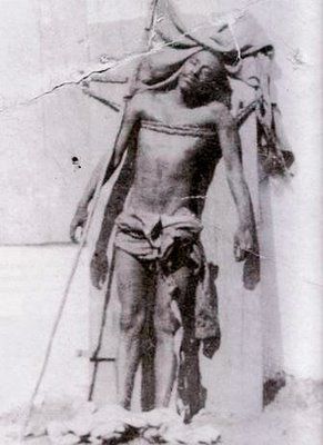 peralte body