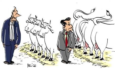 vaches reconnaissantes