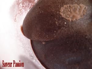 Gonfaronsorbetchoco.jpg