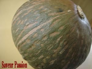courgedelica.jpg