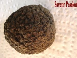 truffe3.jpg