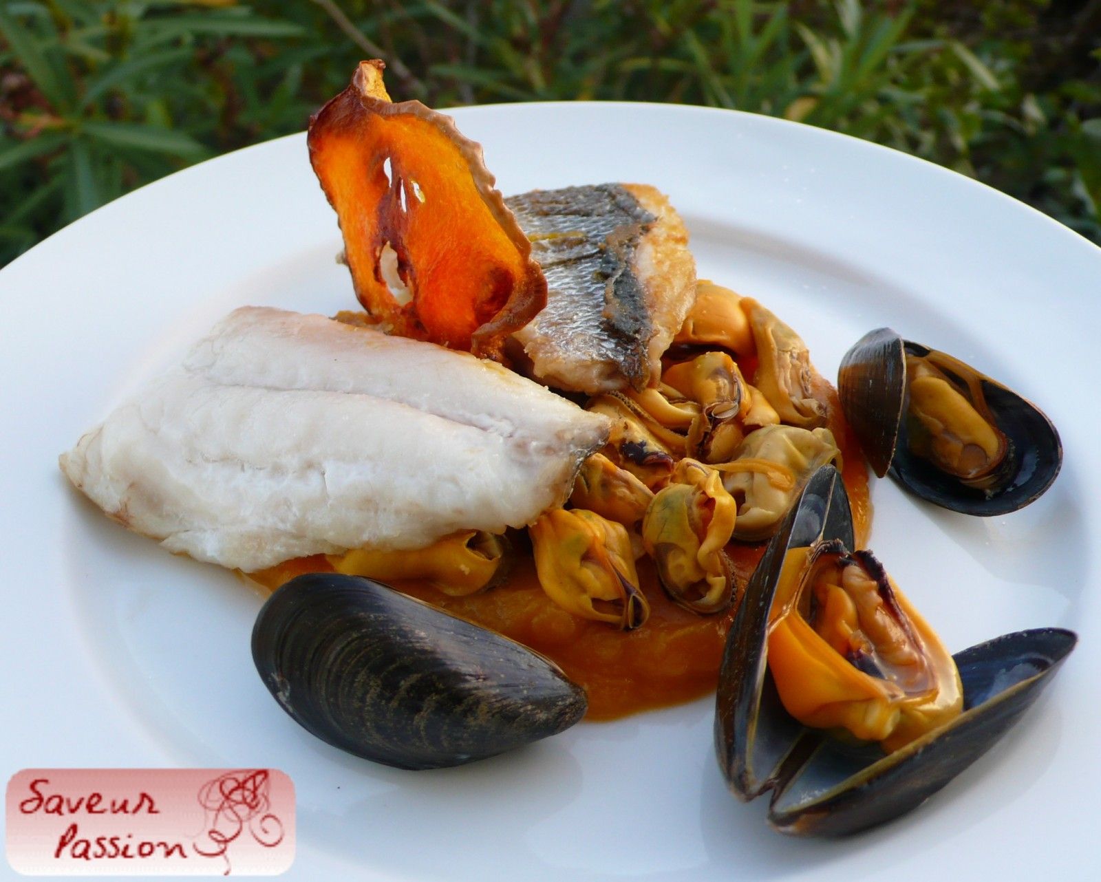 Bar de ligne, moules de bouchot, purée de courge à l'orange - SAVEUR PASSION