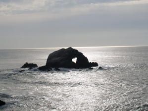 P1010167-jpg.jpg
