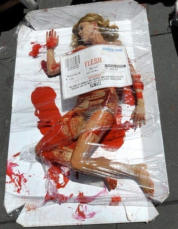 meat-is-murder-peta.jpg