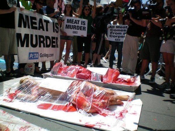 peta-naked-campaign.jpg