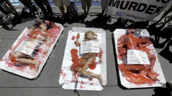 peta-naked-girl.jpg