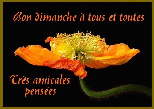 Bon-dimanche-copie-1.jpg