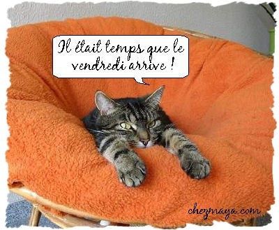 ven10-copie-1.jpg