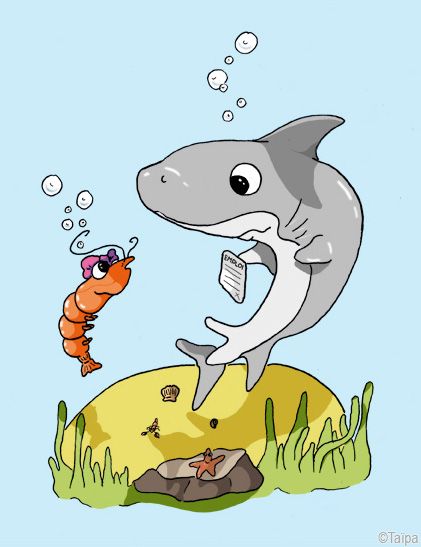 fable actuell,fables actuelles,fable humour,fable animaux,la fontaine,requin,crevette,crabe,site ludique,site éducatif