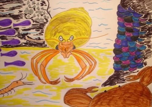 Tibous - Histoire pour enfants - Arthur, le bernard l'hermitte