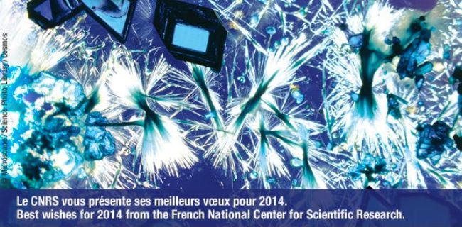 CNRS2014.jpg