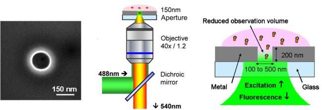 Nanospot_Fig2.jpg