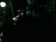 zorroanim2.gif