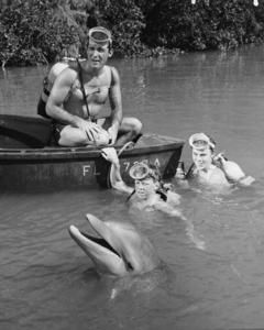 Flipper-3.jpg
