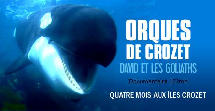 video-orques-de-crozet-david-et-les-goliaths_pf.jpg