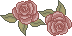 rbears roses01