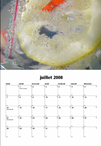juillet.PNG