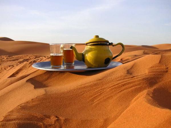Thé à la menthe marocain – Dollar Maroc