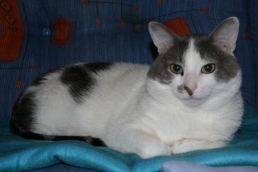 Edwyn0184-2011.JPG