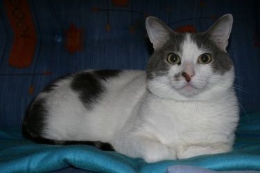 Edwyn0185-2011.JPG