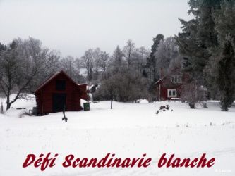 ScandinavieBlanche.jpg