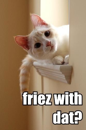 friez with dat