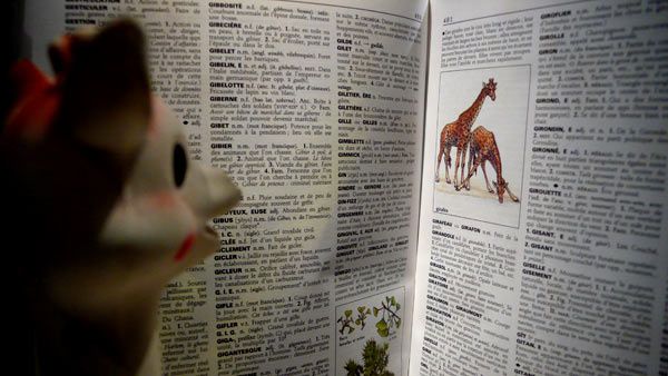 Cliquer pour agrandir La quête identitaire de la giraphe Sophie