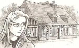 Rencontre charles emma madame bovary