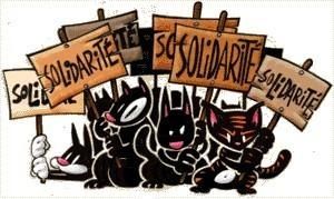 chat-rebelle.jpg