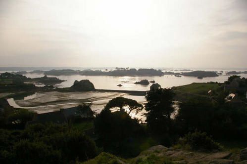 IMGP2262.JPG