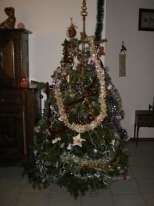 IMGP0367.JPG