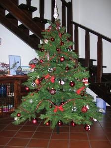 DSCN5794.JPG