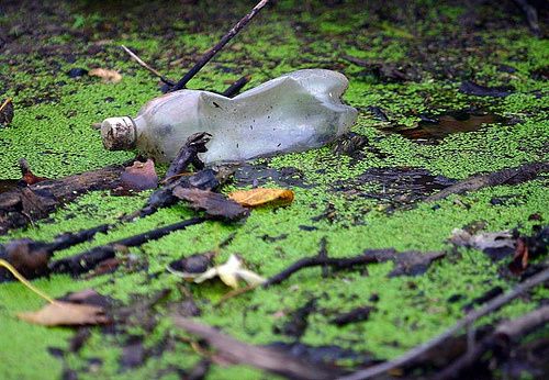 plastic-bottle1.jpg