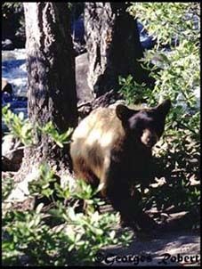 ours01blog.jpg