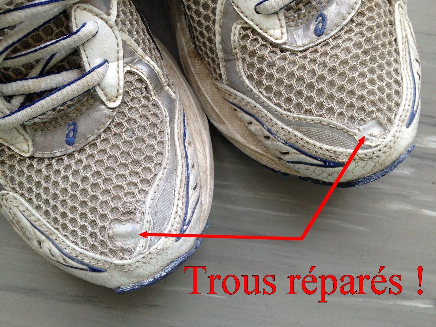 Astuce chaussures en filet - Agil-Dogs