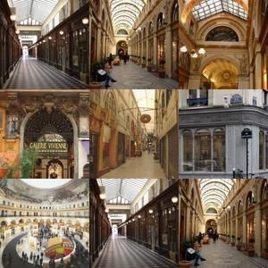 collage2.jpg